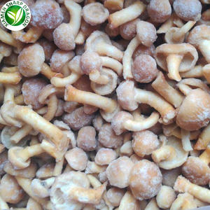 יצוא קפוא nameko פטריות עבור קונים - Product Image 2