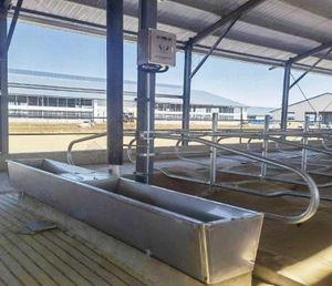 Chauffage électrique en acier inoxydable Réservoir d'eau potable <span class=keywords><strong>pour</strong></span> le bétail <span class=keywords><strong>Abreuvoir</strong></span> <span class=keywords><strong>pour</strong></span> le bétail Vaches laitières Équipement <span class=keywords><strong>à</strong></span> <span class=keywords><strong>vendre</strong></span> - Product Image 2