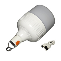 15W 20W 30W 40W 60W bombillas recargables bombilla recargable de emergencia LED focos de emergencia inteligentes recargables 50 vatios