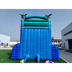 Toboggan aquatique gonflable commercial géant en forme de palmier <span class=keywords><strong>tropical</strong></span> avec piscine, parc aquatique gonflable à double piste pour l'été - Product Image 3