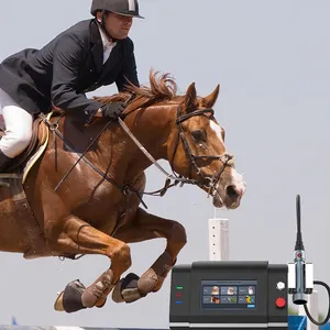 Horse 980nm 808nm Class 4 Laser Therapy Device Horse Physiotherapy Rehabilitation Equipment For Pain