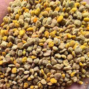 Pólen de Abeja de Rosa Silvestre de Alta Calidad, Nuevo, Fresco, a Granel, Orgánico, 100% Puro y Natural - Product Image 6