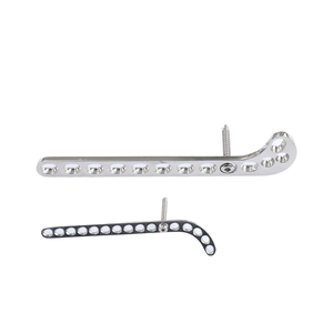 Pelat kompresi ortopedi dokter hewan baja tahan karat implan Edik hewan - Product Image 3