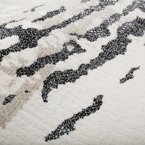 Décoration de la maison Tapis de grande surface Alfombras De Sala Décoration de la maison Tapis de grande surface et tapis de salon - Product Image 4