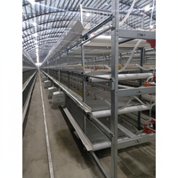 Vente Flash : Cage à Batteries Entièrement Automatique pour l'Élevage de Poulets de Chair – Grande Ferme Avicole, Capacité de Plus de 50 000 Poulets