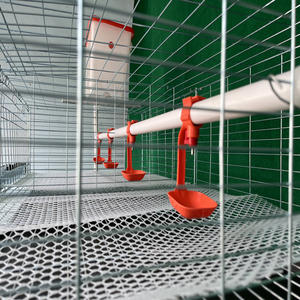 Jaula galvanizada en frío para <span class=keywords><strong>pollitos</strong></span> <span class=keywords><strong>de</strong></span> bebé, jaula para <span class=keywords><strong>pollitos</strong></span> viejos, jaula para criar <span class=keywords><strong>pollitos</strong></span> <span class=keywords><strong>de</strong></span> bebé a la <span class=keywords><strong>venta</strong></span> - Product Image 2