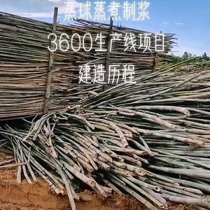 Machine <span class=keywords><strong>de</strong></span> fabrication <span class=keywords><strong>de</strong></span> papier hygiénique en pâte <span class=keywords><strong>de</strong></span> bambou et <span class=keywords><strong>de</strong></span> <span class=keywords><strong>paille</strong></span> <span class=keywords><strong>de</strong></span> <span class=keywords><strong>riz</strong></span> - Product Image 2