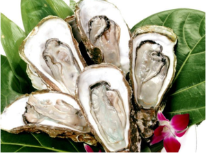 Moshengda — poudre d'extraction de viande d'hôte fraîche, bio, réception-cadeaux pour bébé - Product Image 2