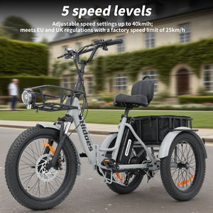 Triciclo da Carico Elettrico di Alta Qualità 2025 Hidoes T2 250w 750w con Batteria al Litio Bici Elettrica Pieghevole Fat Bike Risciò Elettrico - Product Image 5