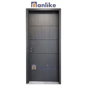 Anlike 2024 Guangzhou New Design Dubai Prehung Grey Bathroom Solid Wooden Panel Full Wpc Door From China