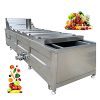 Hento Machinery Fruit- en groenteverblancheermachine / Tomatenverblancheermachine / Verblancheermachine