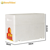 Kit de démarrage d'apiculture pour l'élevage de reines, avec boîte de reproduction et ruches en polystyrène à double mousse