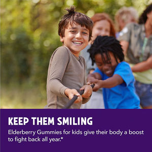 Oem Organic Elderberry Gummy Candy Vitamins with Natural Fruit Flavors for Kid Health Support - Product Image 3