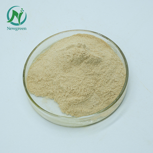 Newgreen Poudre de lutéoline naturelle pure Sophora Japonica Extrait 98% Lutéoline - Product Image 2