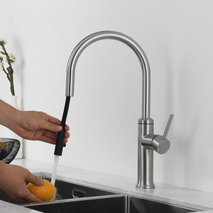 <span class=keywords><strong>Manguera</strong></span> extraíble ajustable <span class=keywords><strong>de</strong></span> diseño moderno, extensión <span class=keywords><strong>de</strong></span> <span class=keywords><strong>grifo</strong></span> <span class=keywords><strong>de</strong></span> <span class=keywords><strong>cocina</strong></span>, grifos clásicos <span class=keywords><strong>de</strong></span> níquel cepillado para <span class=keywords><strong>cocina</strong></span> y baño - Product Image 2