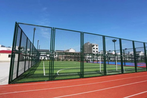 Bán Chất lượng cao giả<span class=keywords><strong>i</strong></span> đấu bóng đá tiêu chuẩn bóng đá lĩnh vực hàng rào bóng đá lĩnh vực hàng rào và bã<span class=keywords><strong>i</strong></span> cỏ đánh dấu xe - Product Image 5