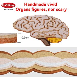 Craftstory Juguetes Educativos Sensoriales para Niños Pequeños, Tablero <span class=keywords><strong>de</strong></span> Fieltro para Enseñar las Partes del Cuerpo, Manualidades <span class=keywords><strong>de</strong></span> Madera, 5-7 Años, Suministros para Guardería - Product Image 6