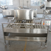 Goede Prijs Industriële Commerciële Automatische Suikerrietwasmachine Fruitreinigingsmachine