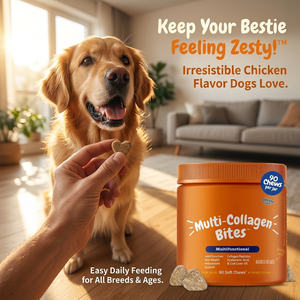 Integratore Alimentare OEM ODM per Cani e Gatti con <span class=keywords><strong>Lattoferrina</strong></span>, Multivitaminico, Lisina e Taurina per Immunità, Pelo e Pelle - Product Image 2