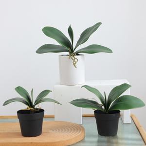 Planta Artificial de Hoja de Phalaenopsis, Nueva, de Alta Gama, Hecha a Mano, de Pegamento Suave, para Jardinería, Bonsái y Arreglos Florales - Product Image 1