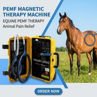 Appareil de thérapie magnétique PEMF professionnel pour la récupération musculaire vétérinaire, à usage clinique, pour cuisses et fessiers équins