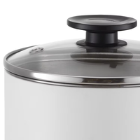236083 GS/CE 900W 1.5L Cuisinière électrique multifonctionnelle domestique Hot Pot