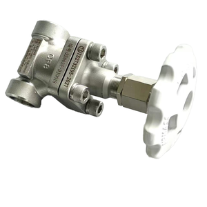 Vanne d'arrêt pour gaz liquéfié DJ61F40P DN20 en promotion, vanne à globe cryogénique pour réservoir de stockage en vrac, livraison gratuite - Product Image 3