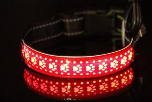 Collares luminosos de nailon para perros, impermeables, con hebilla intermitente, luz nocturna, de seguridad, Led - Product Image 6