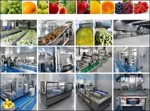 Máquina de procesamiento de polvo de jugo de limón completamente automática para línea de procesamiento de fábrica de alimentos con soporte personalizado en ventas calientes - Product Image 3