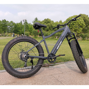 <span class=keywords><strong>Bicicleta</strong></span> eléctrica <span class=keywords><strong>Phoenix</strong></span> 500W Ebike Fat Tire Ebike hidráulica Marco de aluminio Cinturón Cadena <span class=keywords><strong>Bicicleta</strong></span> eléctrica de montaña - Product Image 4