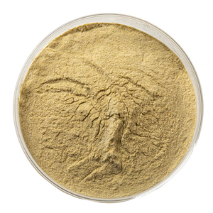 Phụ Gia Thực Phẩm Enzyme Invertase Bột Invertase Saccharase Nhà Cung Cấp Từ Thương Hiệu Sunson - Product Image 3