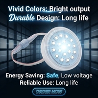 Éclairage paysager extérieur haute puissance 56 mm à LED RGB programmable et adressable WS2811 UCS1903 DC24V IP67 étanche