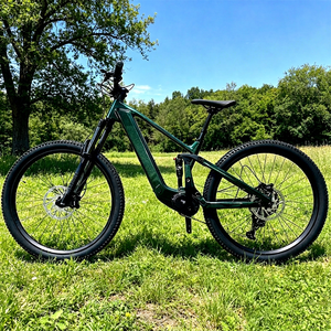Bicicleta Eléctrica de Montaña CYCTRAC EM19 de 27.5/29 Pulgadas con Suspensión Completa, Fibra de Carbono, Motor Central de 250W, 720Wh, 48V, 15AH, 12 Velocidades, Frenos de Disco Hidráulicos - Product Image 1