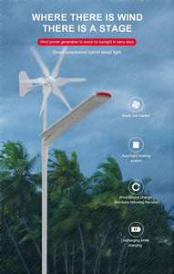 Todo en uno Led Outdoor Power Integrated 30W 60W 80W <span class=keywords><strong>Precio</strong></span> Batería 6M Pole Wind Hybrid Lithium Windmill y Solar Street Light - Product Image 5