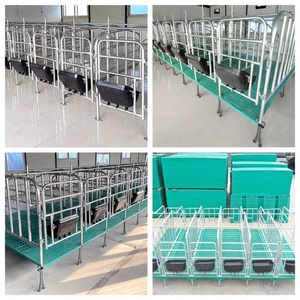 10 Corrales <span class=keywords><strong>de</strong></span> Gestación Jaulas <span class=keywords><strong>de</strong></span> Paridera para Cerdas Granjas Porcinas - Product Image 5