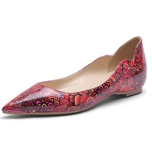 Chinese Style <b>Flats</b> Pointed Toe for Women Girl Flower Print <b>Flat</b> Pumps Loafers Walking Dress Office Lady Comfortable <b>Flats</b> - Product Image 2