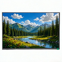Monitor Portátil IPS LED de Pantalla Ancha B160UAN03.0 B160UAN03.2 para Negocios, Nuevo