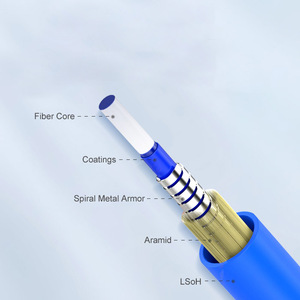 Tùy chỉnh chiều dài 10-1000m hoàn thành sợi quang vá dây 6.0mm 2-144 lõi lsoh bọc thép sợi cáp quang - Product Image 3