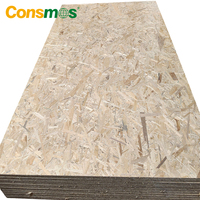 Panneau structurel OSB3 Consmos pour mur, toit, terrasse, base de plancher