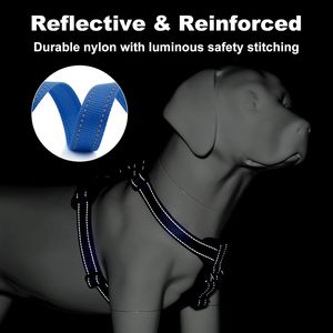 Arnés Plutus para Mascotas, Ajustable, Antitirones, con Detalles en Cuero, Resistente, con Luces Reflectantes, de Nailon, para Entrenamiento y Senderismo - Product Image 4