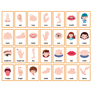 Para tarjeta cognitiva, tarjeta <span class=keywords><strong>de</strong></span> felicitación en inglés <span class=keywords><strong>de</strong></span> <span class=keywords><strong>dibujos</strong></span> <span class=keywords><strong>animados</strong></span> para niños, forma <span class=keywords><strong>de</strong></span> letra, papel <span class=keywords><strong>de</strong></span> Aprendizaje Temprano <span class=keywords><strong>de</strong></span> animales - Product Image 4