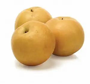 Asian Fresh singo pear Organic korea pear sweet and moisture high quality pear from China