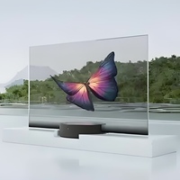 Pantalla de publicidad transparente OLED a todo Color de alta transparencia para interior para Centro Comercial tienda minorista SDK función Gráficos