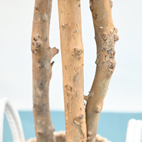Grand arbre artificiel Ficus de 160 cm avec pot noir, tronc en bois naturel, feuillage vert réaliste, plante d'intérieur pour la décoration de Noël