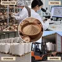 Poudre de Champignons Shiitake en Gros, 25kg, Ingrédient pour Soupe, Pré-mélange, Condiments, Sauces et Fabrication d'Aliments Savoureux