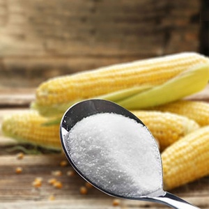 Ingrediente alimenticio, polvo de fructo-oligosacárido 95 en polvo, polvo de FOS 95% - Product Image 2