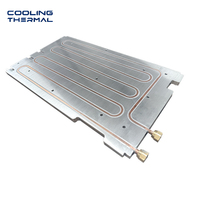 Pelat Dingin Kustom untuk Sistem Pendinginan Imersi Aluminium Tembaga untuk Solusi Termal Server Pusat Data
