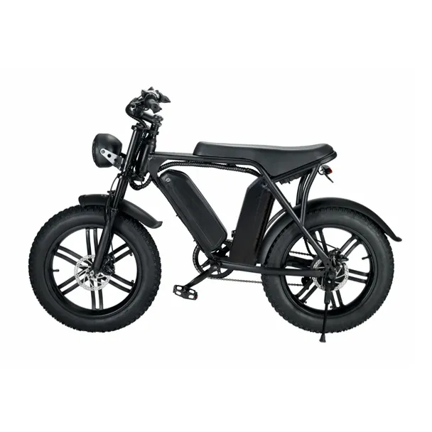 US EU Stock Dutch enduro ebike urban chopper bicycle 750W 1000W 15Ah 30Ah 20*4.0 "fat tire electric hybrid bike