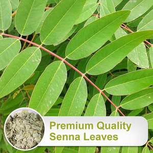 สมุนไพรจีนชาเมล็ดมะขามบริสุทธิ์แบบหลวมผลิตภัณฑ์ลดน้ำหนักลดน้ำหนักลดน้ำหนักชาอาหารเพื่อสุขภาพ - Product Image 3