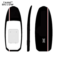 Planches de surf hydrofoil, planche électrique, support d'affichage volant, SUP, sports nautiques, plein air